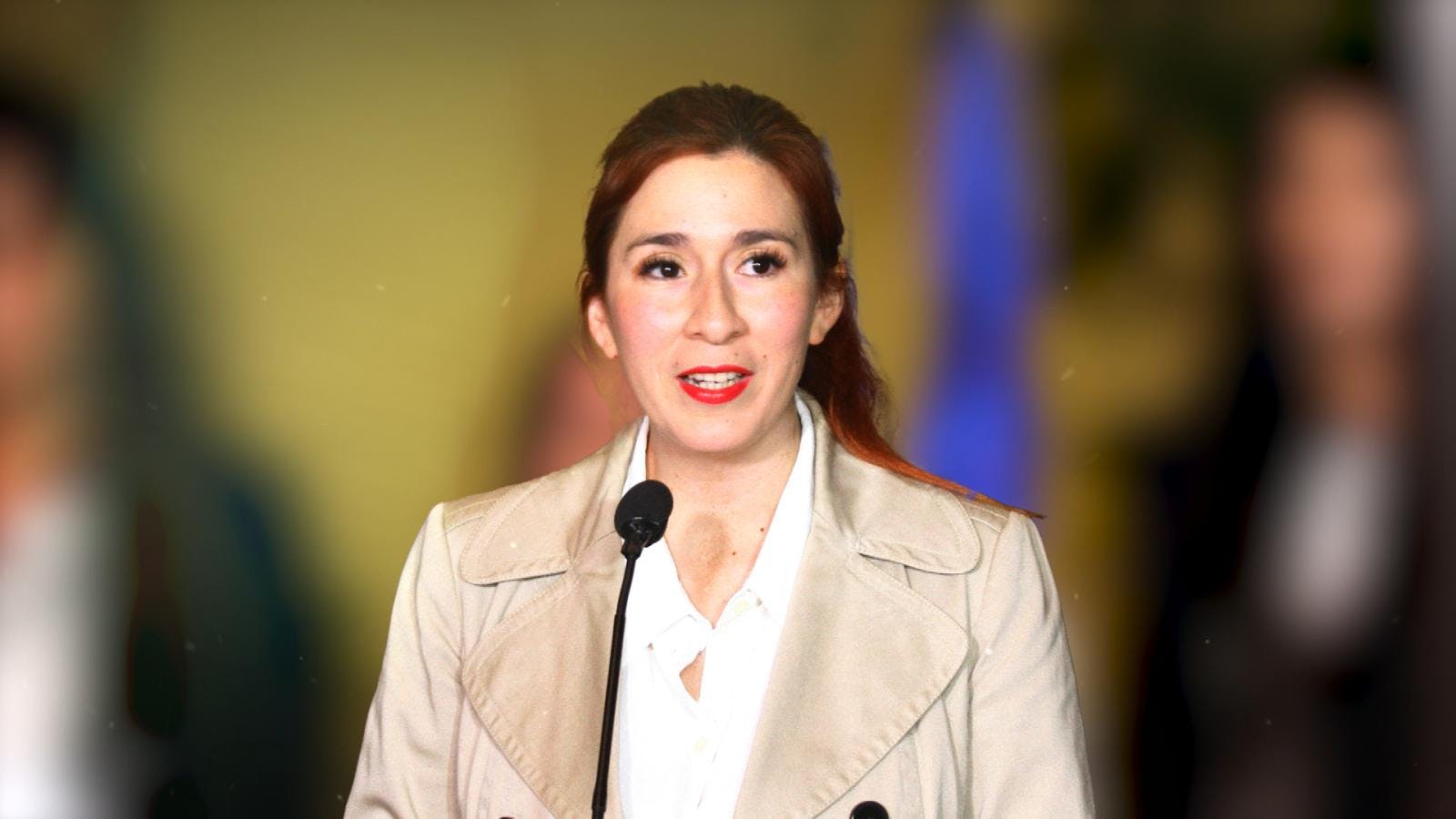 Dirigente de RD declaró que la diputada Pérez si estaba en conocimiento de los polémicos convenios