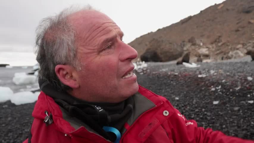 Selva Viva Patagonia: La fascinante Antártica