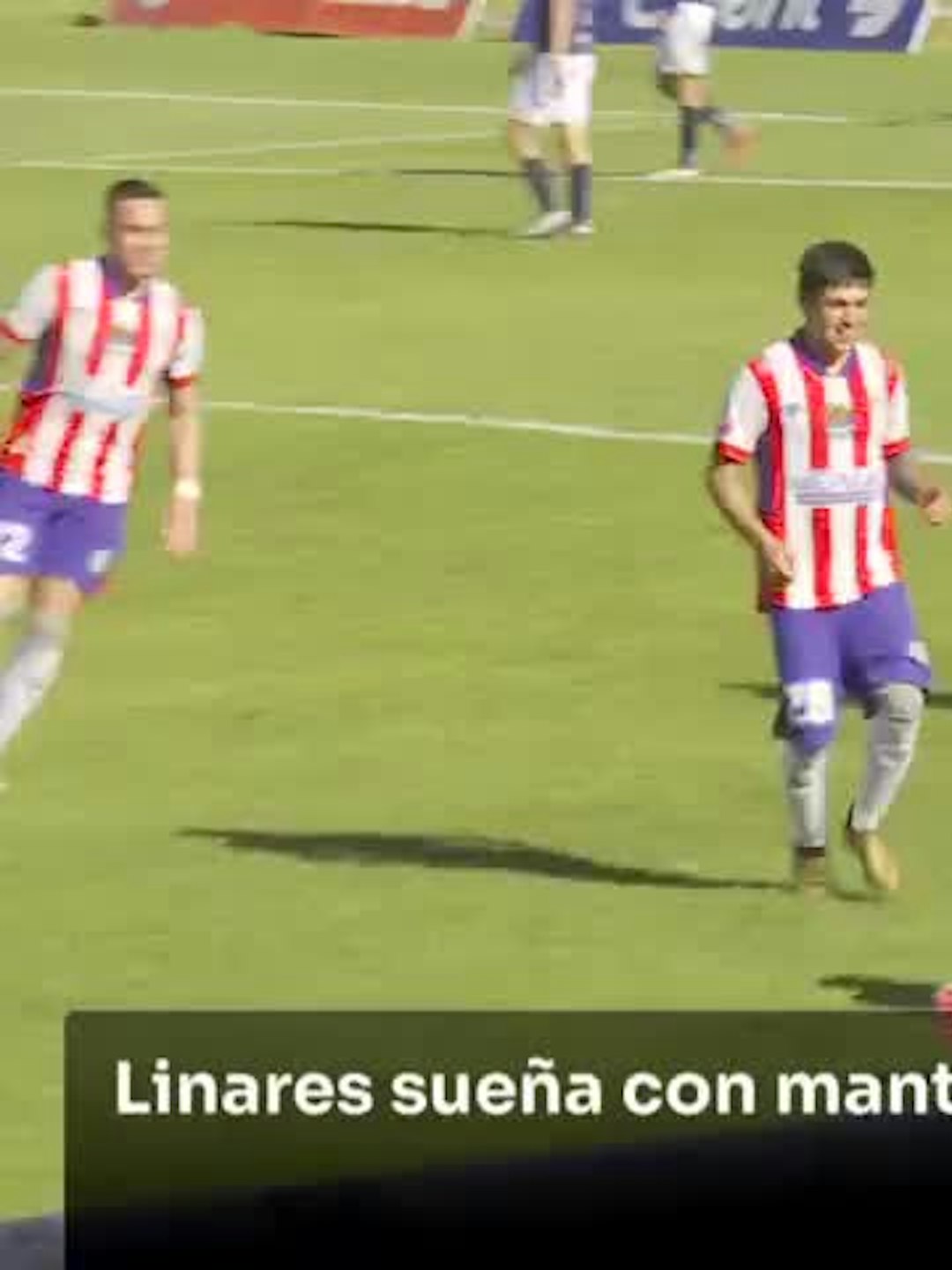 A un punto de salvarse del descenso quedó D. Linares