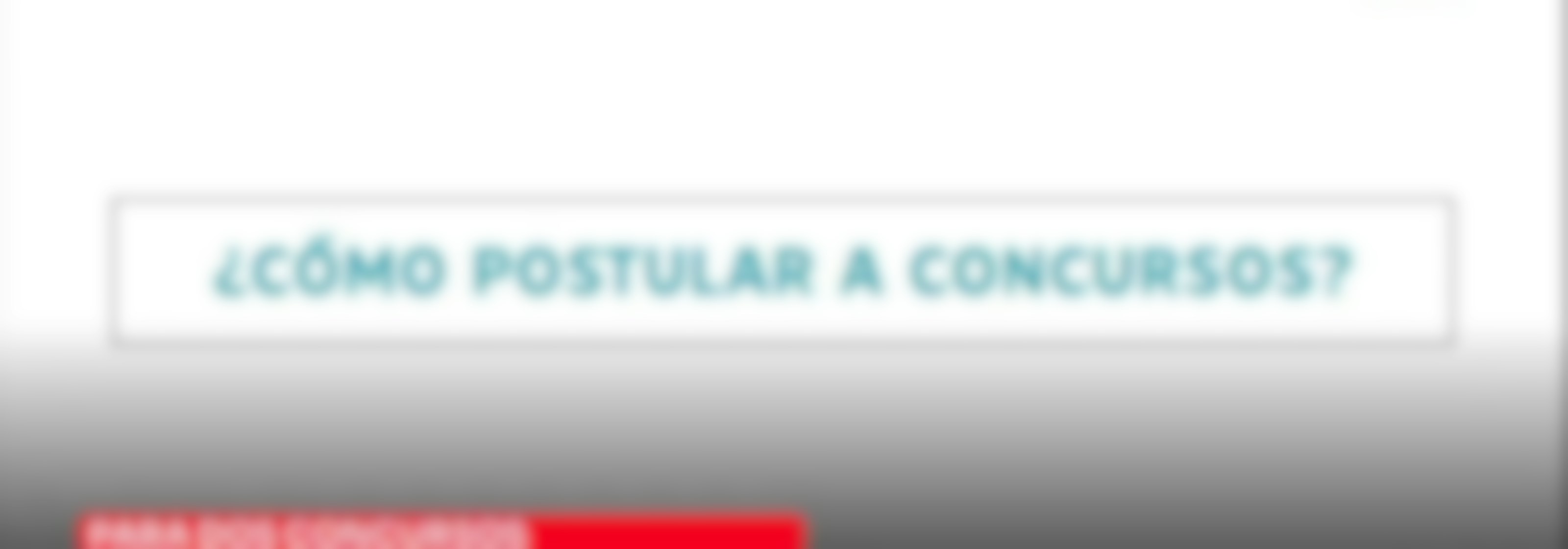 ProChile lanzó convocatoria 2024 para dos concursos