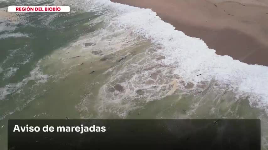 Anuncio de marejada