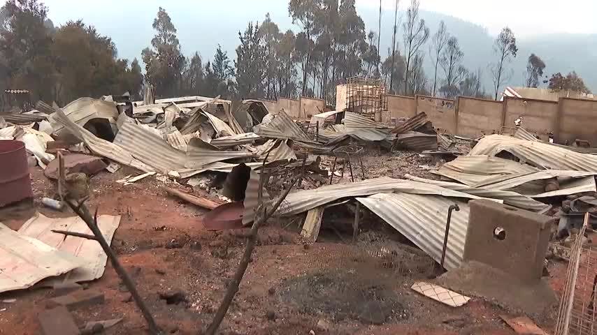 Gobierno anuncia plan contra incendios forestales en el Biobío