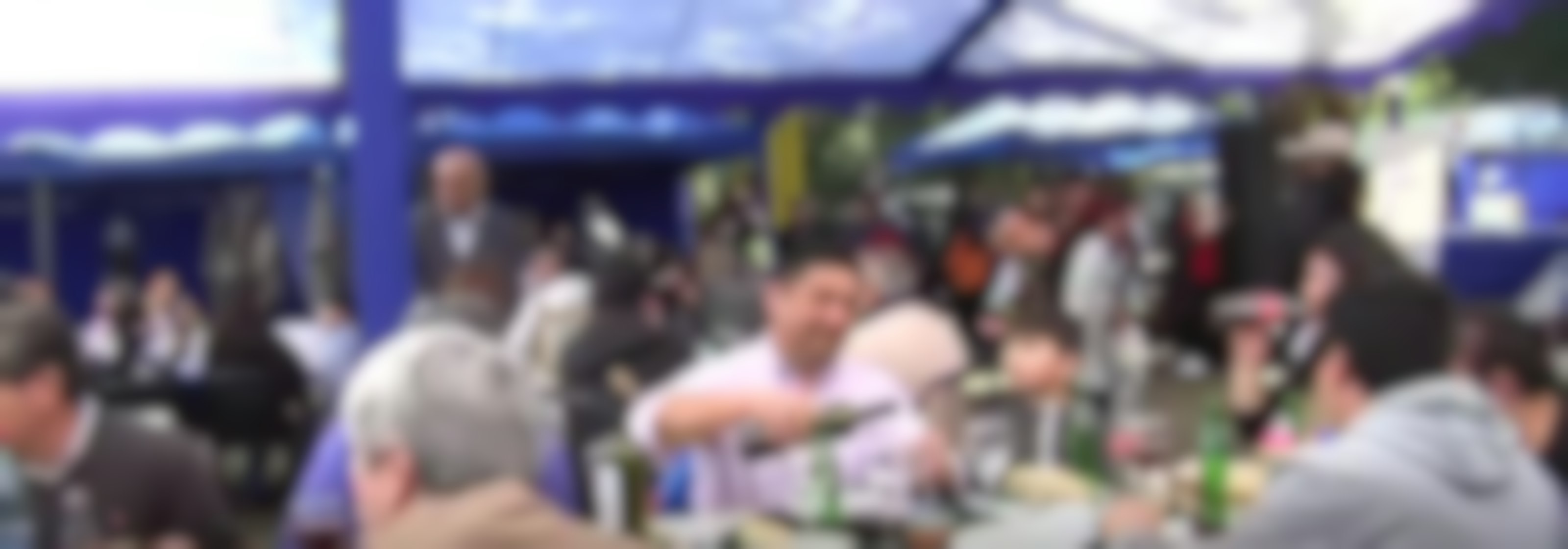 Invitan a Fiesta del Chancho de Curtiduría