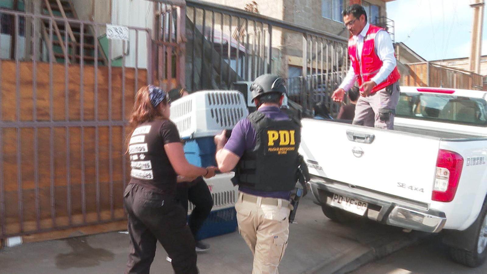 Masivo operativo para rescatar a cerca de 40 perros desde un domicilio