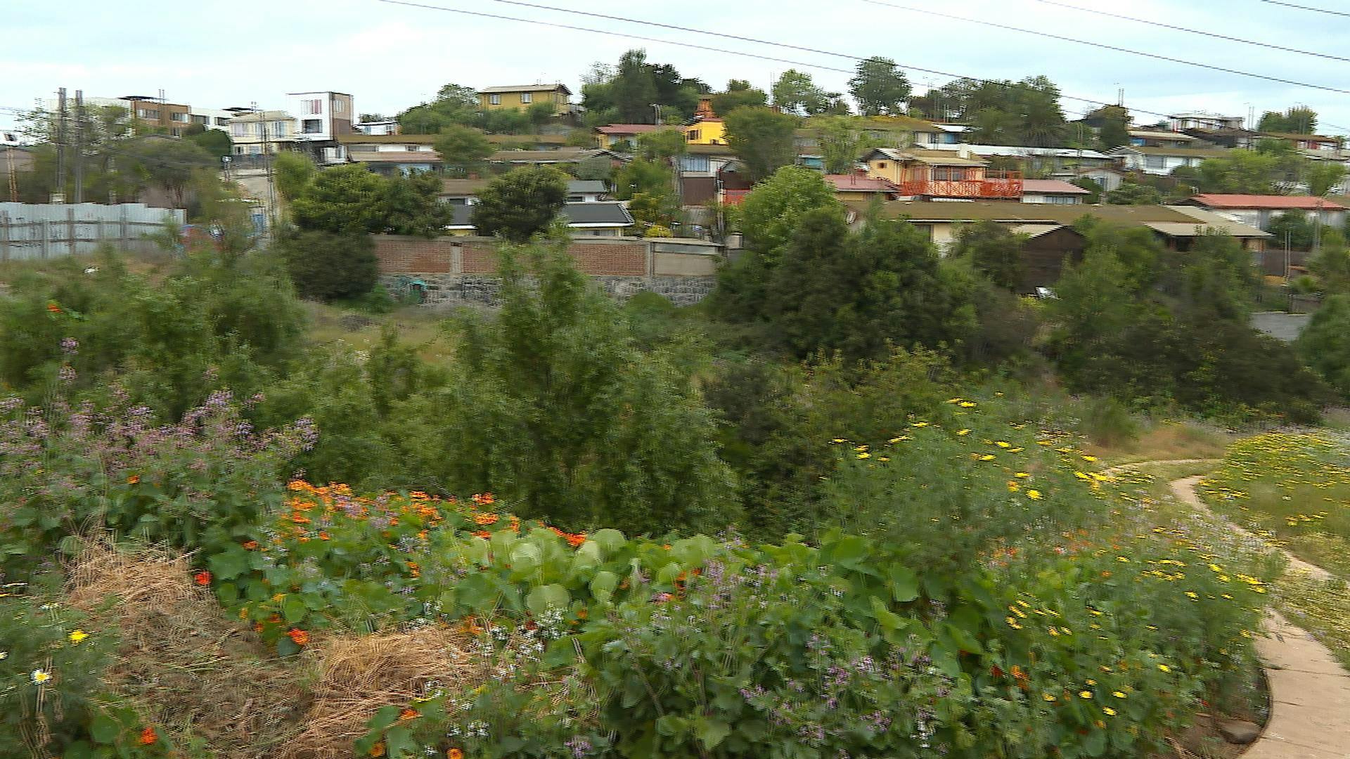 Humedal pone en jaque a vecinos de Villa Dulce para construir sus anheladas viviendas