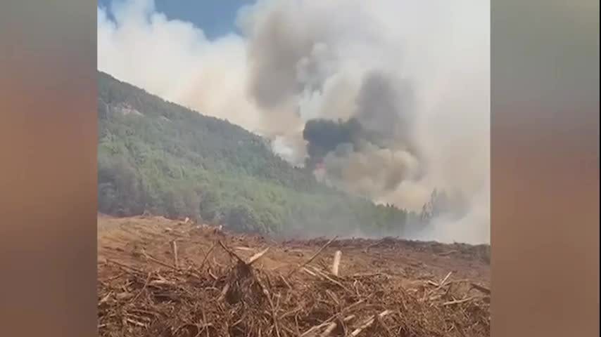 Quema autorizada causó incendio forestal en Santa Bárbara