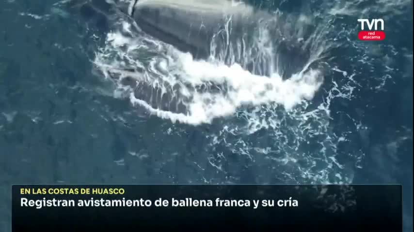 ESPECTÁCULO NATURAL
