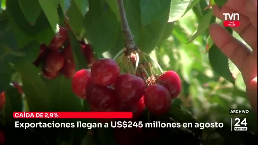 Exportaciones llegan a US$245 millones en agosto