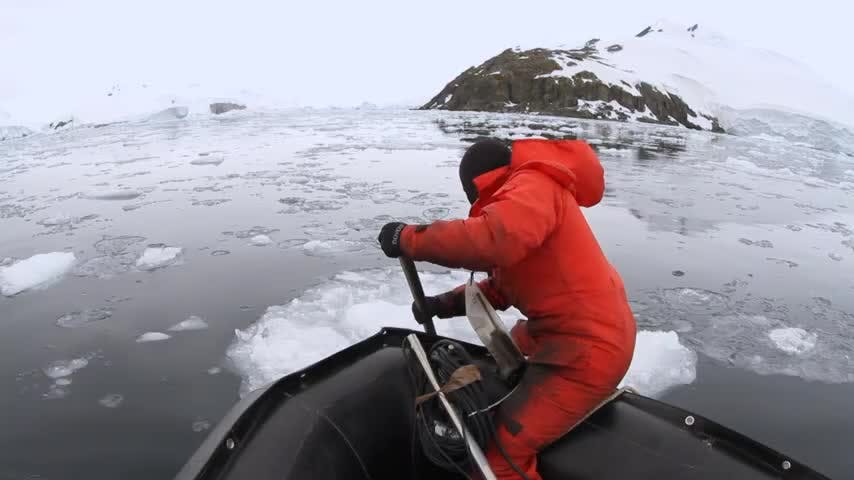 Selva Viva Patagonia en NTV: Círculo Polar Artico
