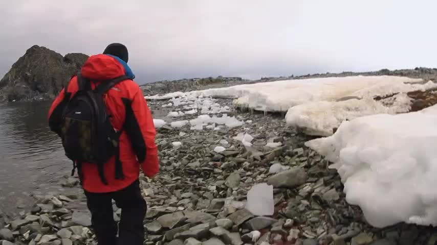 Selva Viva Patagonia en NTV: En las islas de la Antártica