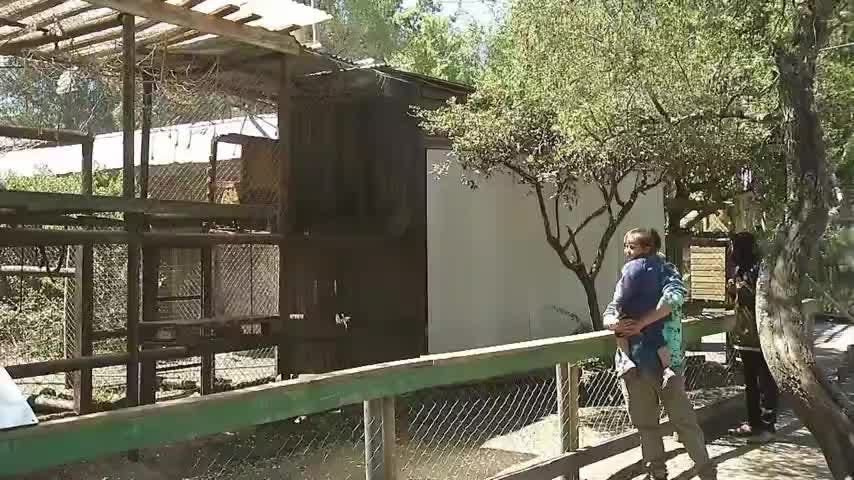 Zoológico de Los Ángeles cerrará sus puertas para siempre