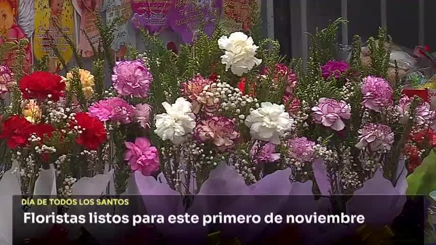Floristas listos para este primero de noviembre