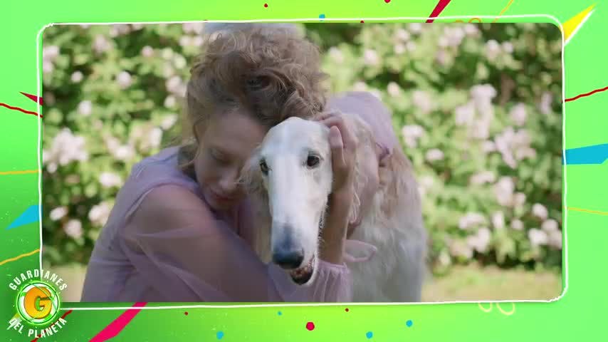Guardianes del Planeta capítulo 26: Ayudan a perrito sin dueño y gatito que cambió su personalidad
