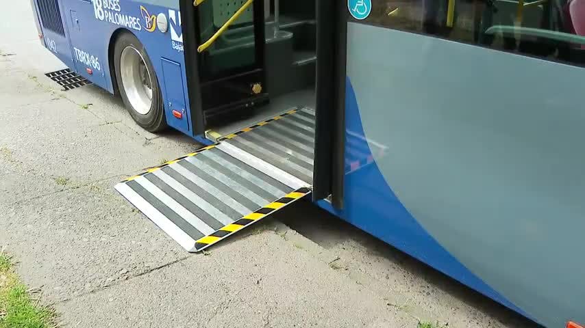 Concepción: Línea de taxibuses presenta bus con acceso universal