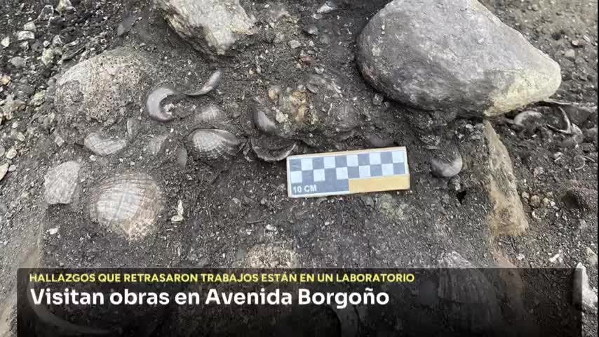 Hallazgos arqueológicos retrasan obras de Avenida Borgoño