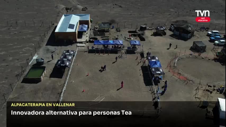 ALPACATERAPIA