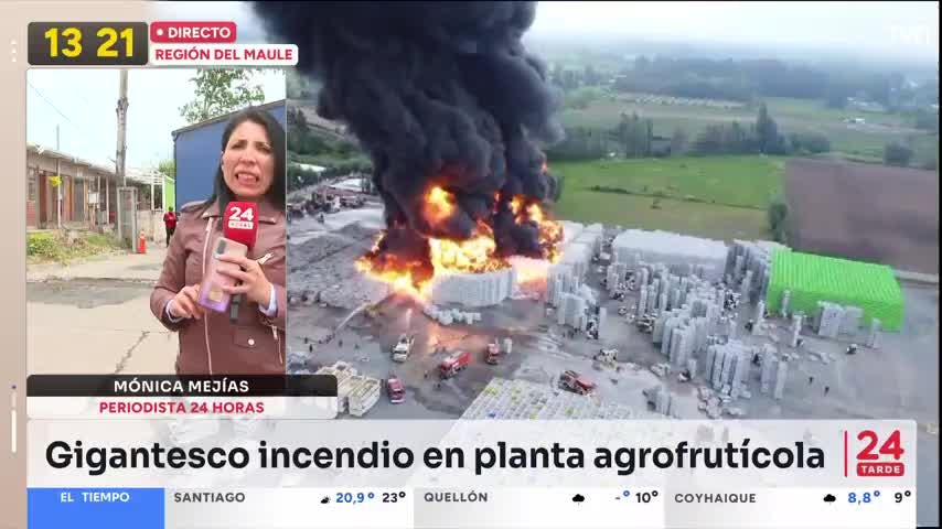 10 mil bins consumidos por el fuego en planta Agrozzi en Teno