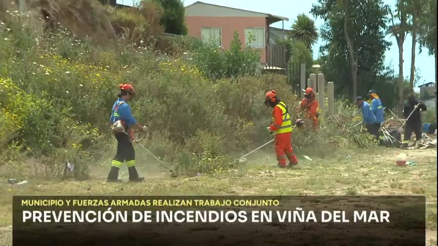 Municipio de viña y fuerzas armadas realizan trabajo de prevención de incendios
