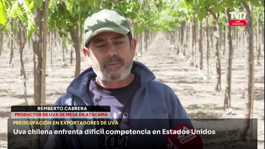 La desventaja de la uva chilena en el mercado