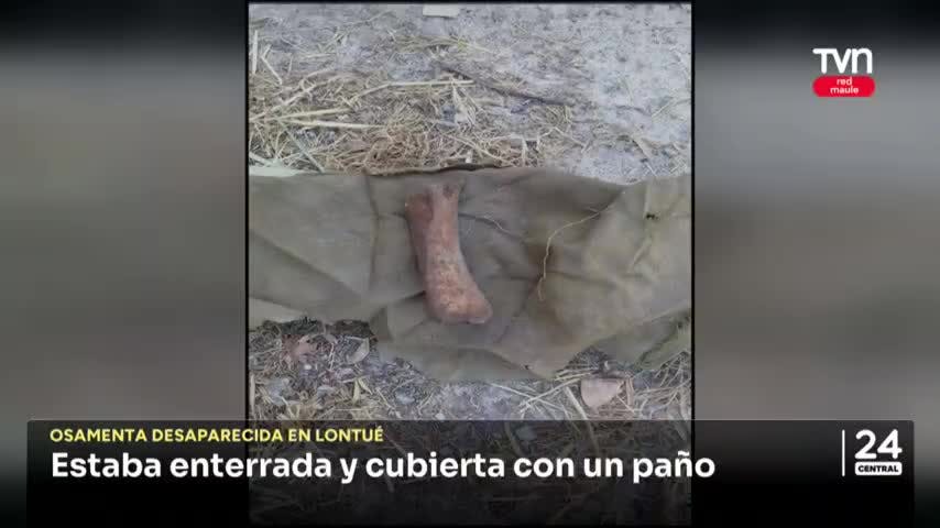 Osamenta encontrada en Lontué está desaparecida 