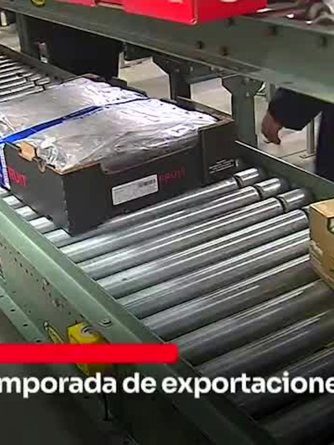 Dan inicio a temporada de exportaciones agrícolas