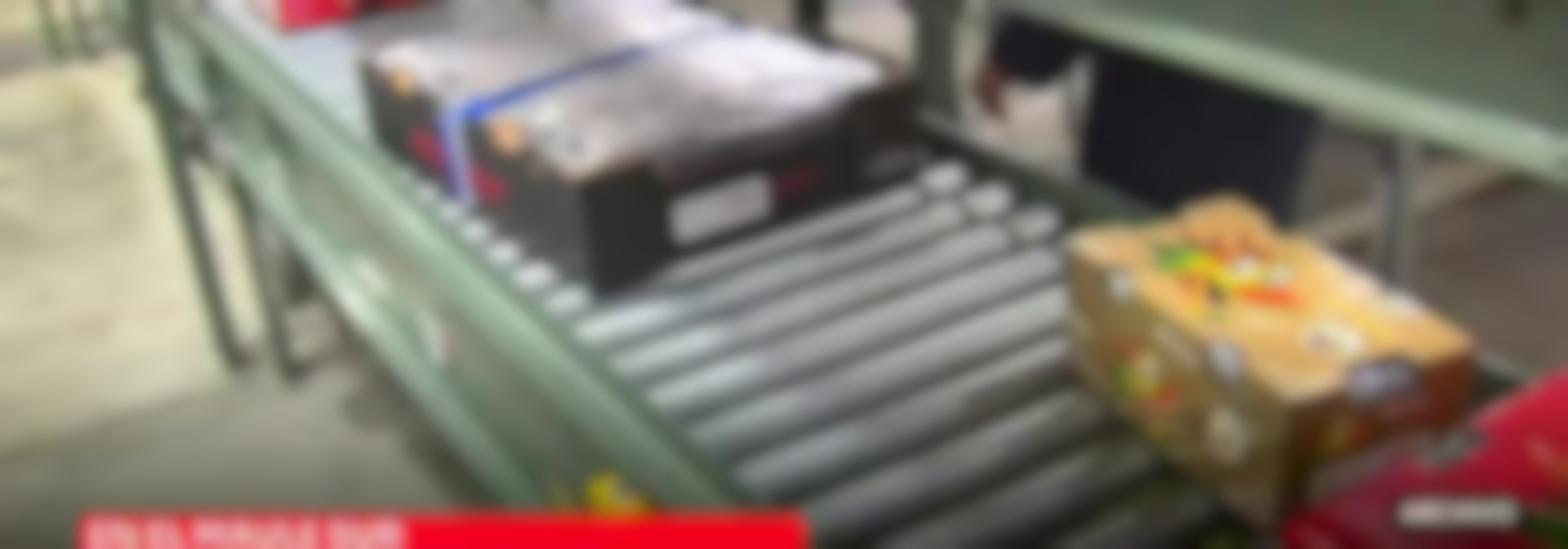Dan inicio a temporada de exportaciones agrícolas
