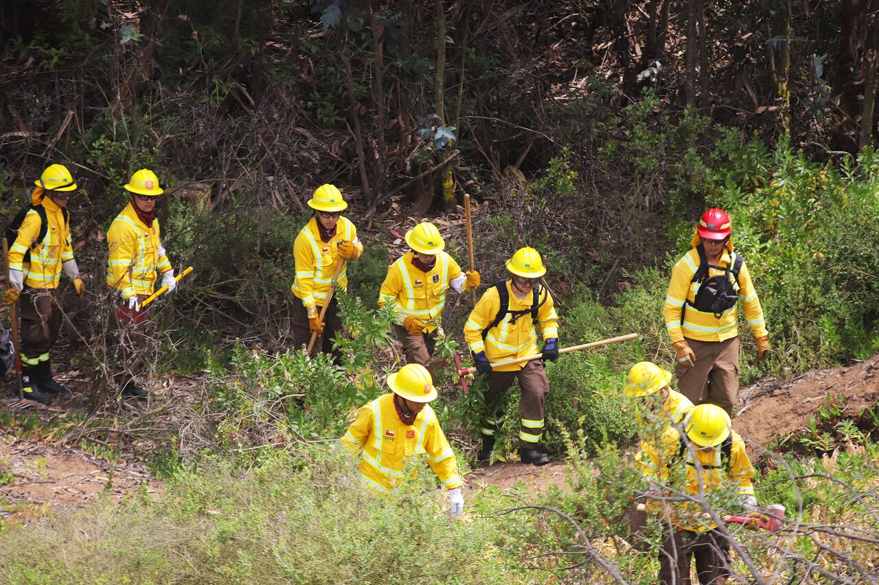 Temporada de incendios forestales: Ministro Esteban Valenzuela explica el Plan Nacional de Cortafuegos