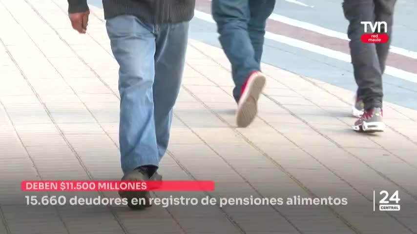 15.660 deudores tiene registro de  pensiones de alimentos
