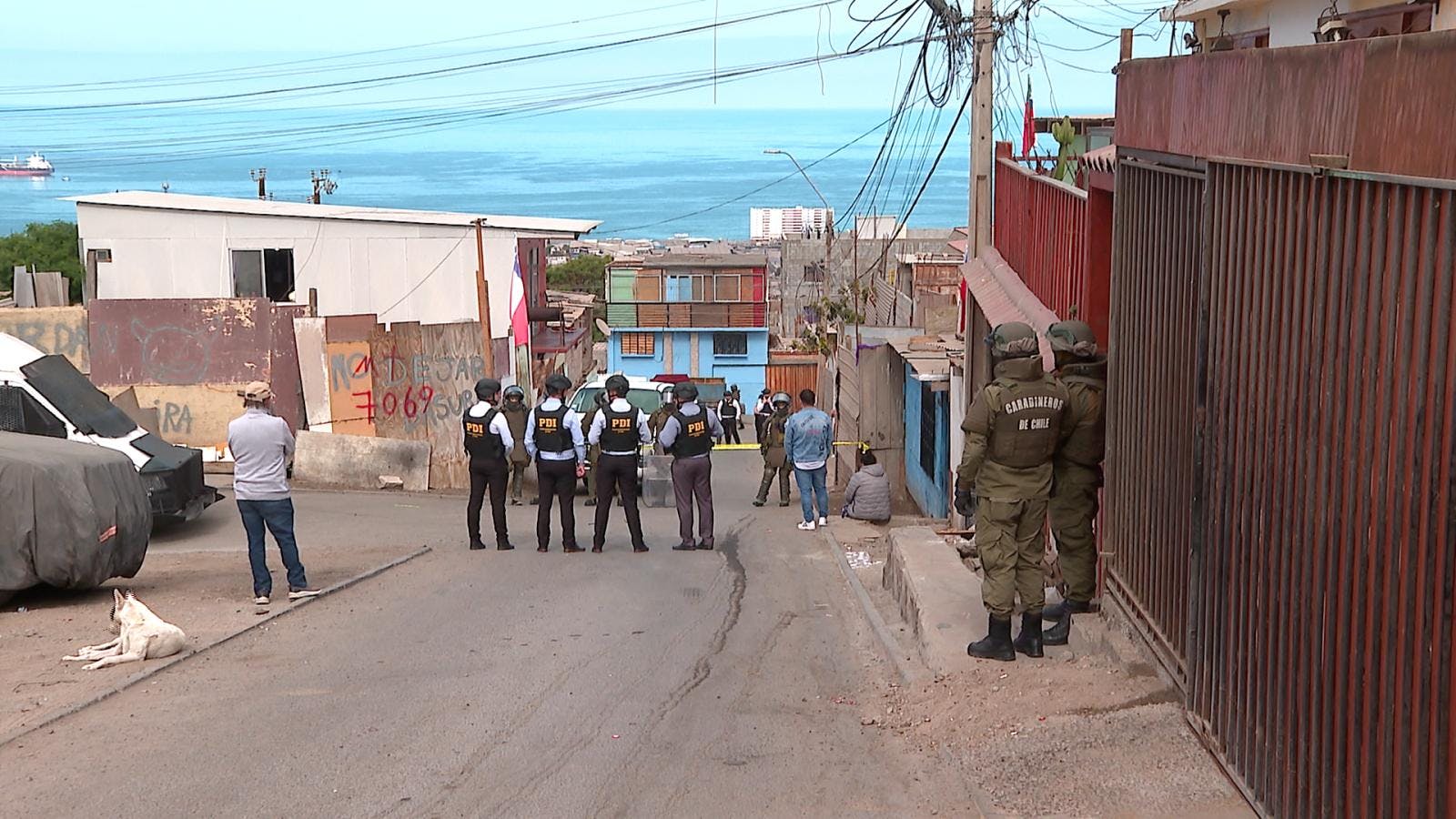 Investigan incidente en que en funcionario del PDI dio muerte a una mujer y su mascota 