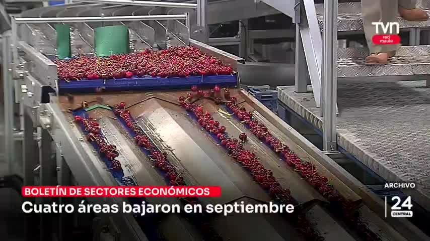 Cuatro áreas económicas bajaron en septiembre