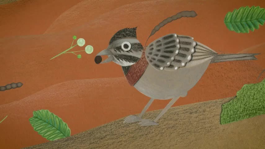 Poemas de la Tierra Capítulo 6: Cuida/ U´ye - Wichi 
