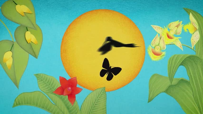 Poemas de la tierra Capítlo 7: Conversación en el aire/AYVU YVYTÚPE (Guaraní)