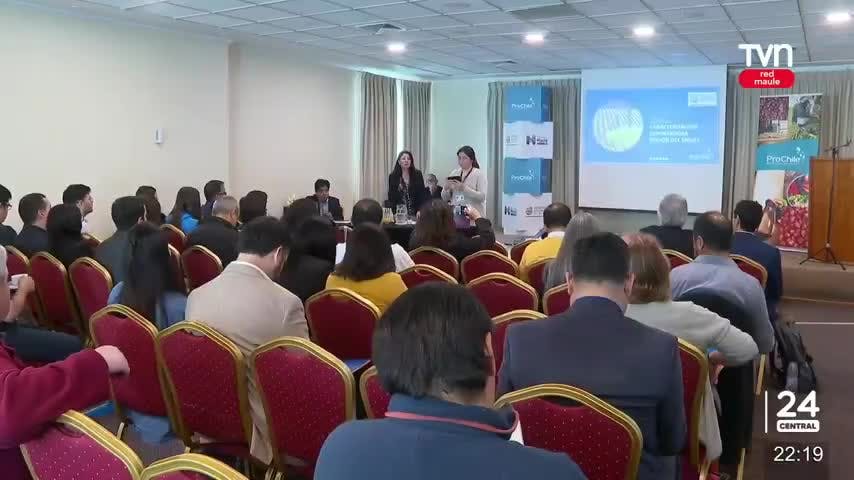 Promueven incorporación internacional de productos maulinos