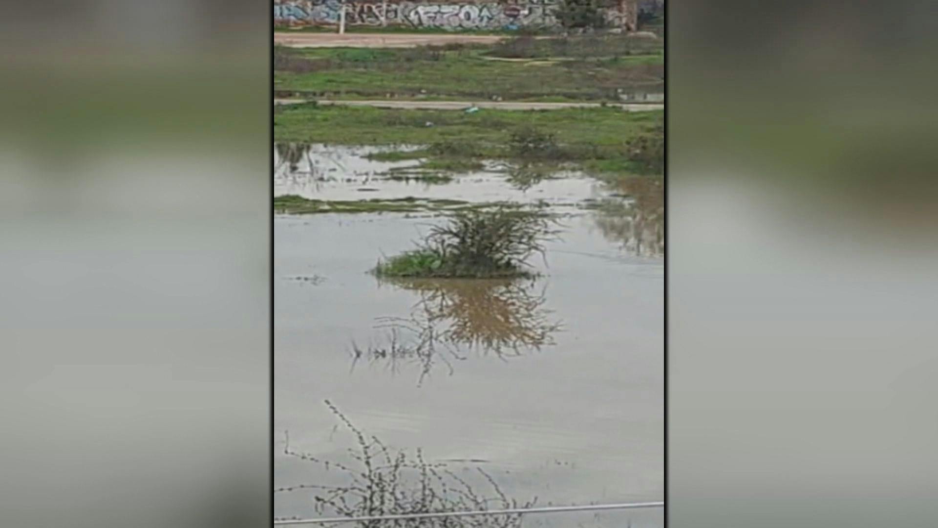 Habitantes de Belloto 2000 cuestionan proyecto de viviendas sociales en Quilpué