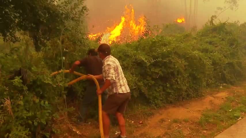 Servicios y empresas coordinan combate de incendios