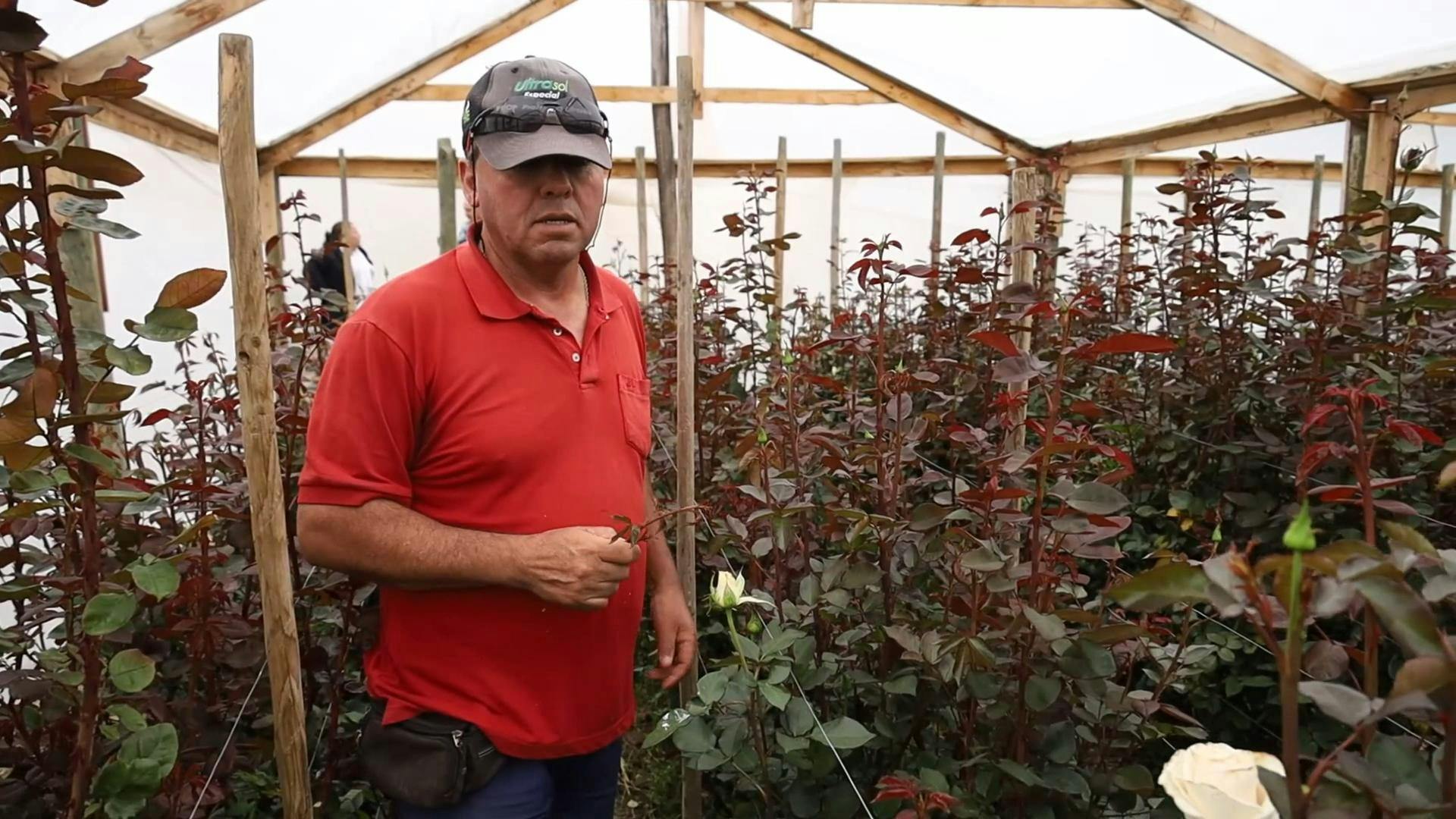 Floricultores de Petorca piden ayuda ante sequía que los afecta