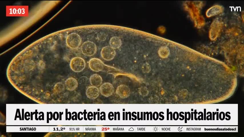 Reportaje: Alerta por bacteria en insumos hospitalarios