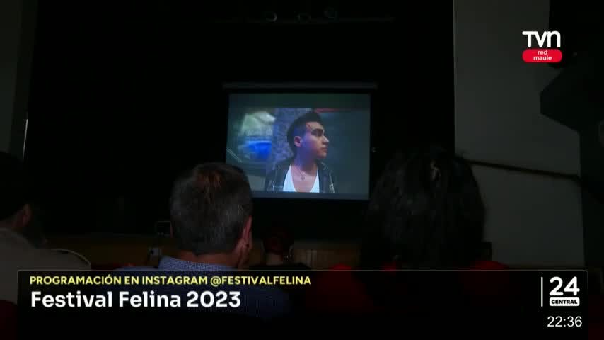 Festival felina 2023, hasta el 8 de diciembre
