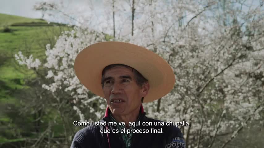 Identidad hecha a mano en NTV: Florencio
