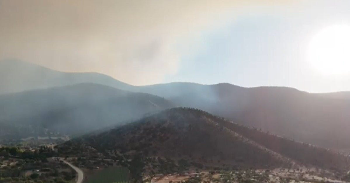 700 hectáreas consumidas por incendio forestal