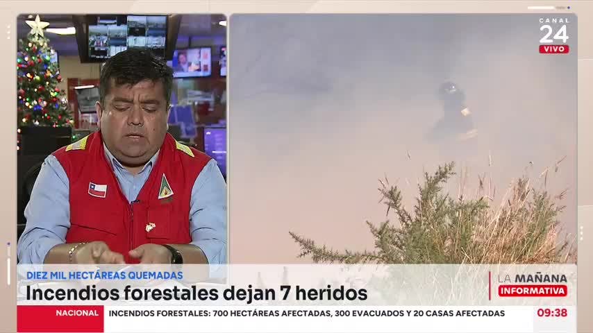CONAF por incendios: Hay una proyección de condiciones muy adversas