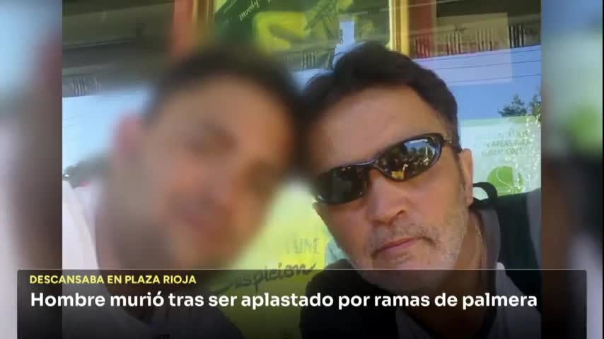 Investigan responsabilidades ante caída de rama que dejó un fallecido en Viña del Mar