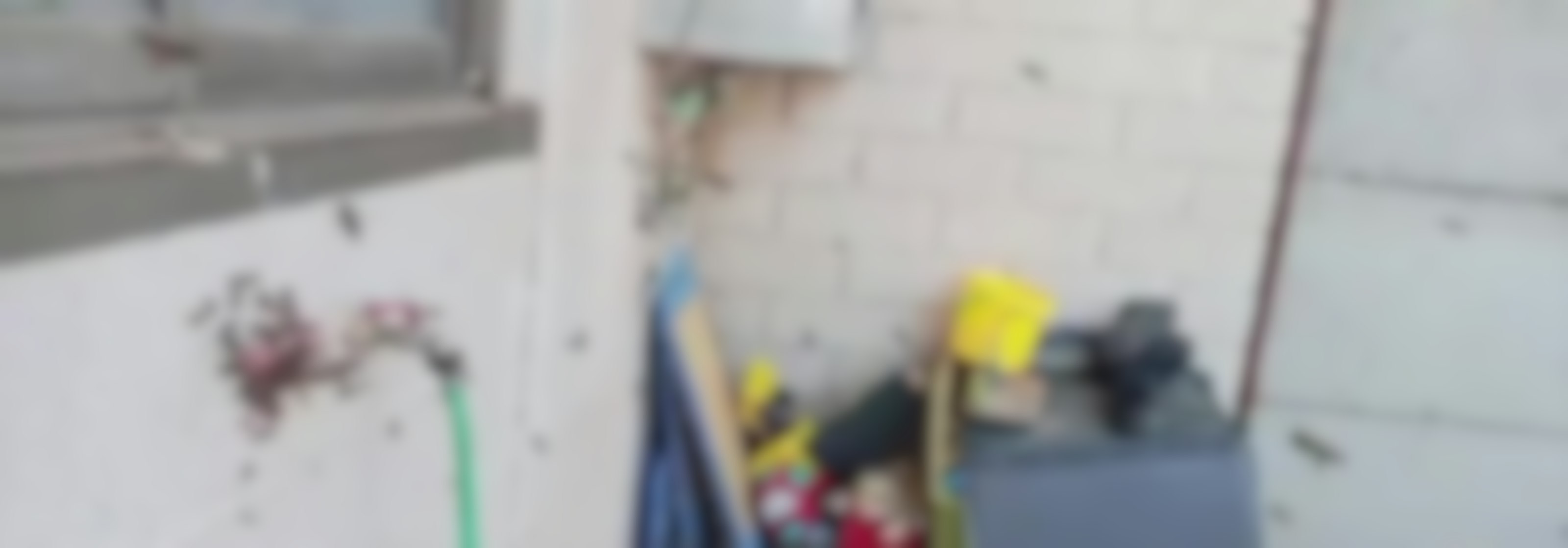 Miles de abejas invadieron casa en Talca