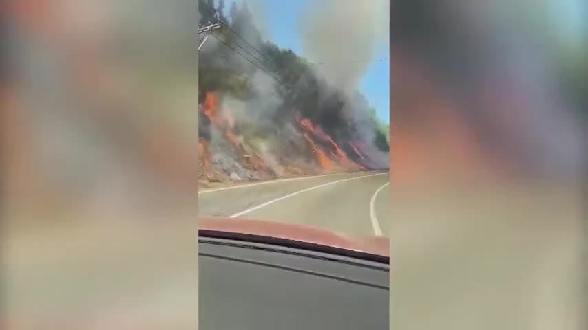 Incendio forestal en ruta Concepción - Florida