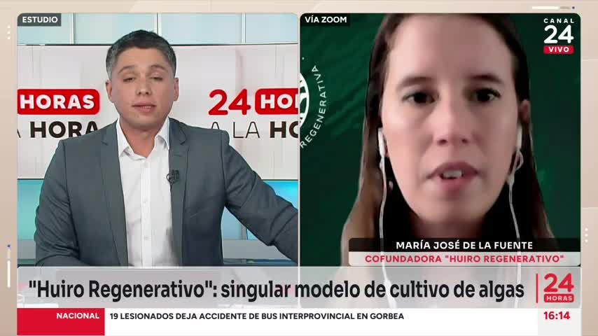 Premios Avonni: “Huiro regenerativo”, singular modelo de cultivo de algas