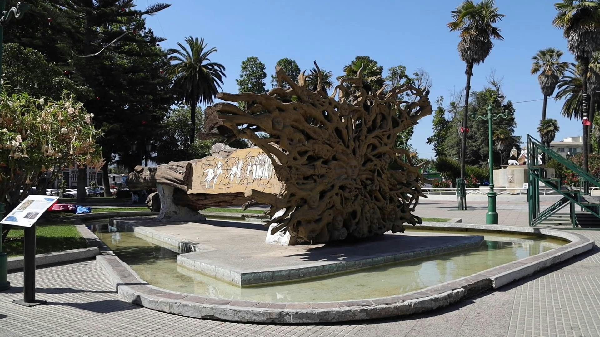 Quillota se convirtió en unos de los pulmones verdes de Sudamérica