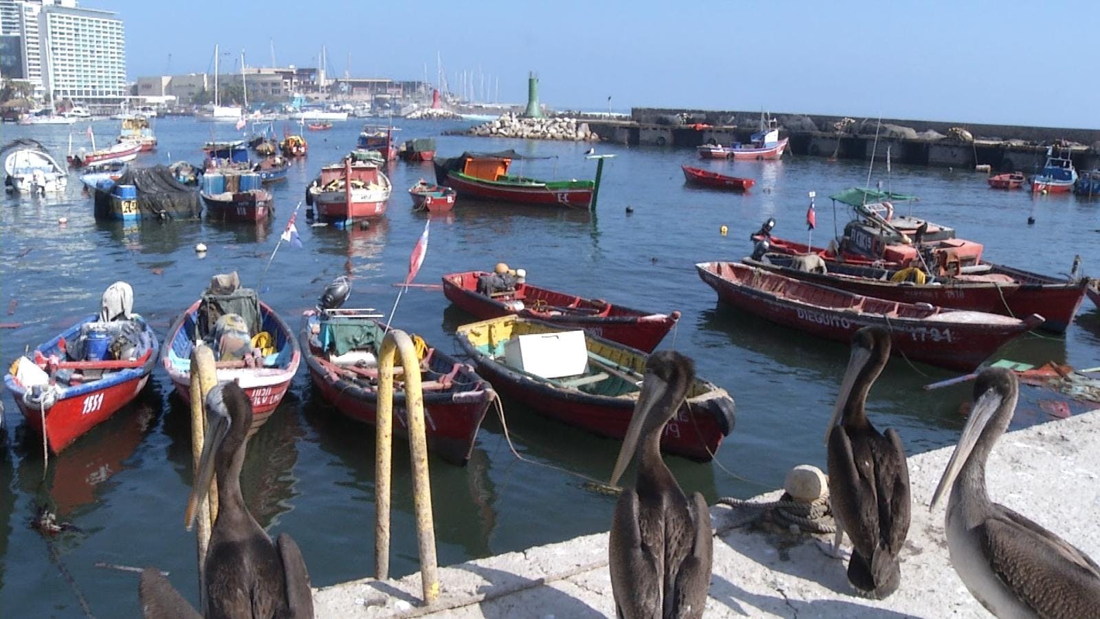 Síntesis de noticias regionales: fondos para fiestas costumbristas de pescadores artesanales