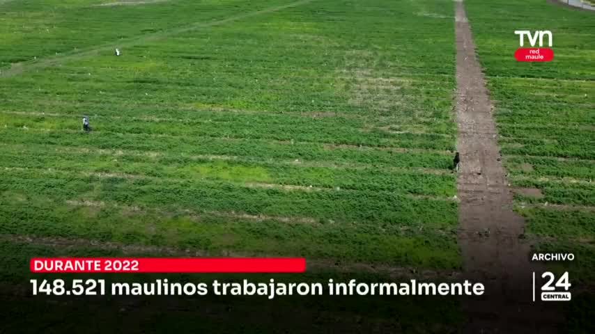 148.521 maulinos trabajaron informalmente en 2022