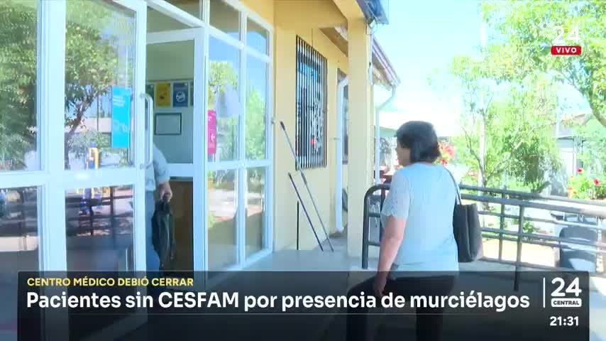 Pacientes sin Cesfam por presencia de murciélagos