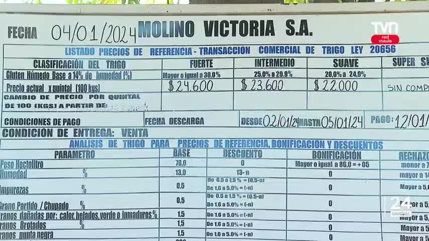 Leve aumento experimentó quintal de trigo